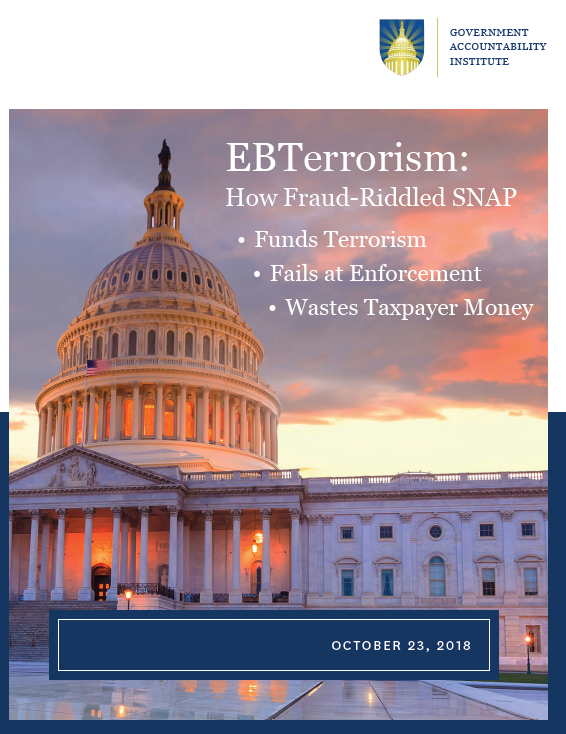 SNAP Fraud Report